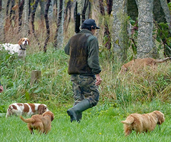 La anulación de licencias de caza en Galicia prosigue dos años después de estallar la trama